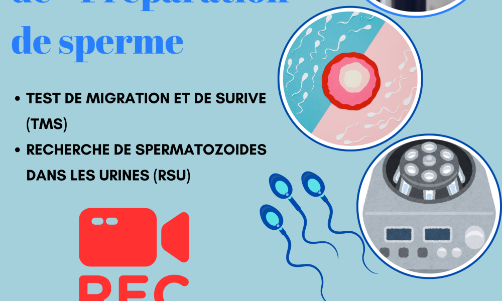 technique de préparatgion de sperme
